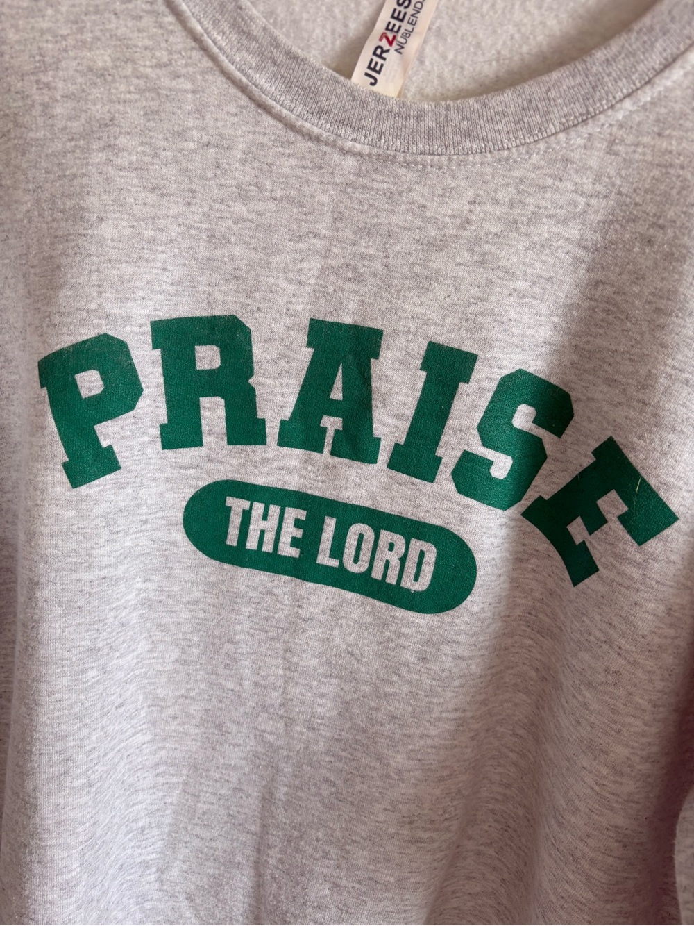Jerzees “Praise the Lord” sweatshirt/crewneck 🙏🏼